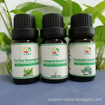 essential oil Peppermint leaf extracted Essential oil